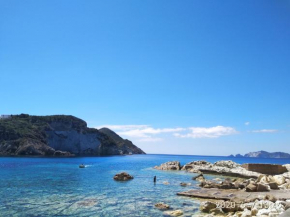 Ponzacasevacanze -Appartamenti Ponza ,corallo mare''